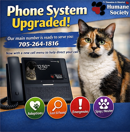 Public Announcement 2 (Done)