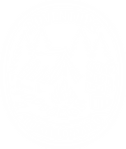 SCOUTS LOGO 4.png