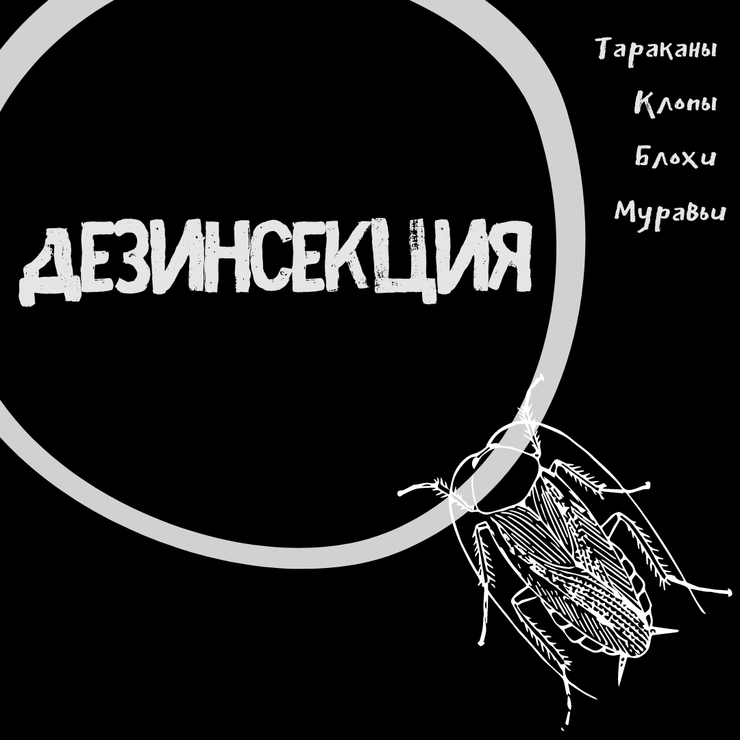 ДЕЗИНСЕКЦИЯ