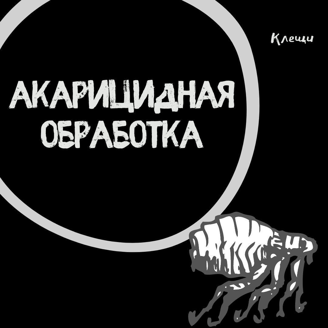 АКАРИЦИДНАЯ ОБРАБОТКА