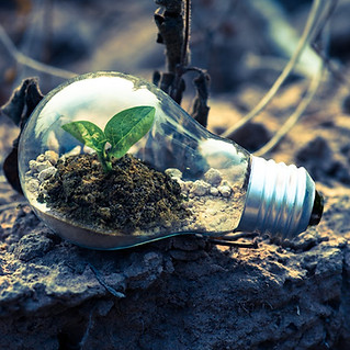 Regenerative Education Impact foto