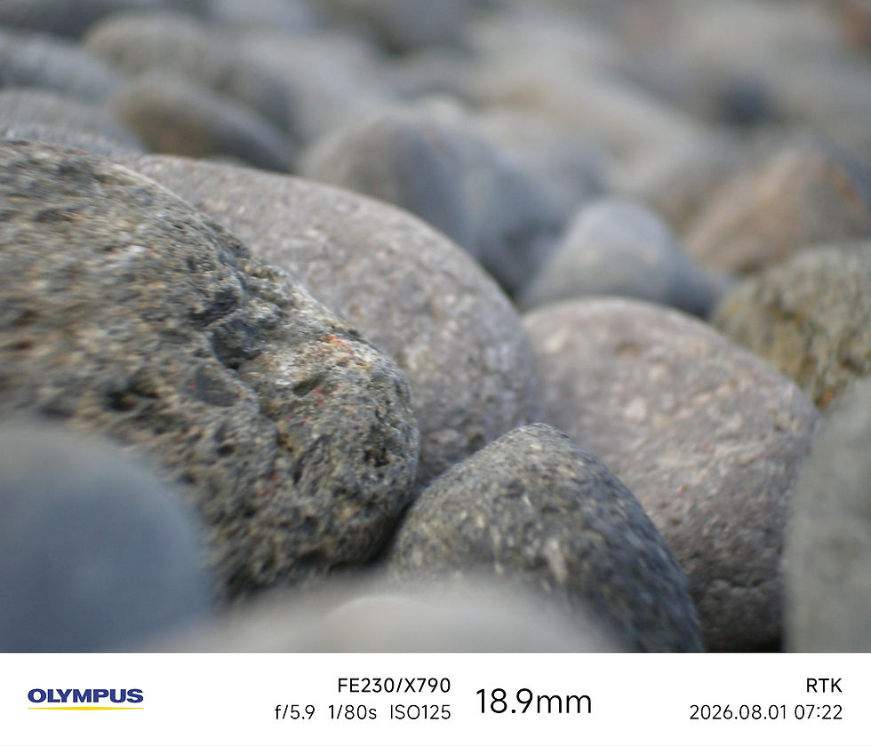 Thumbnail: Olympus FE230