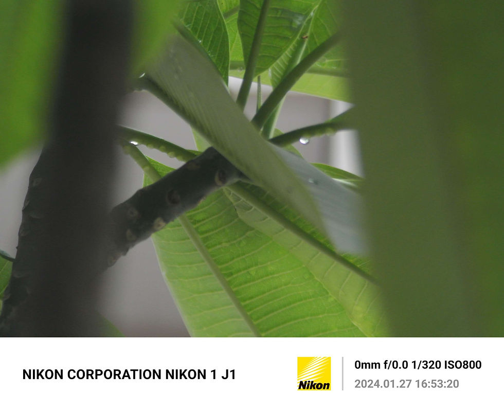 Thumbnail: Tokina Manual Lens 70-210mm