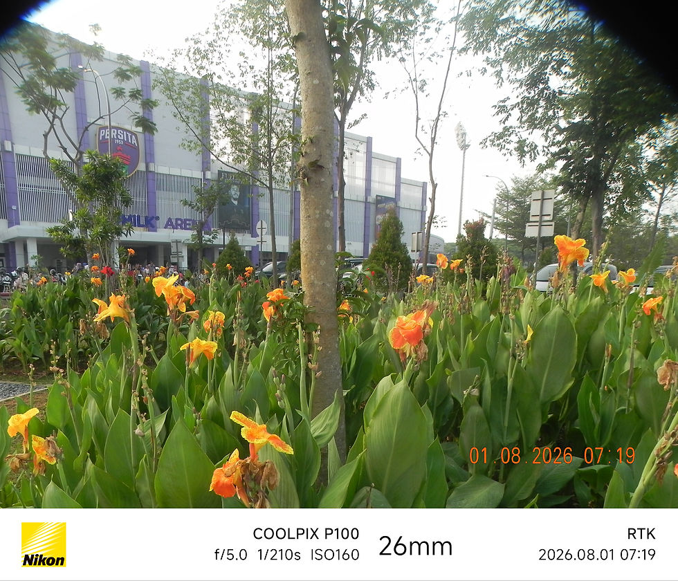 Thumbnail: Nikon Coolpix P100