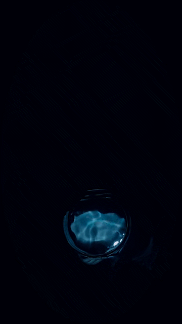 fish_tank_MP4_AdobeExpress.gif