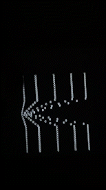 2_MOV_AdobeExpress.gif