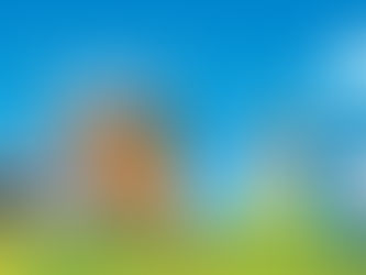 Smarter Grain Storage Can Improve Wheat Falling Number | Harveston Aeration Solutions