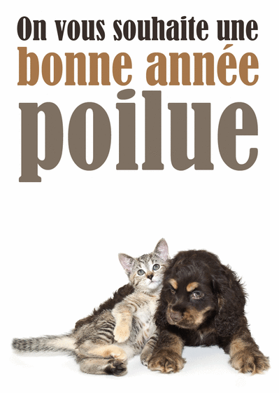 2955-Une bonne annee poilue_maxi.gif