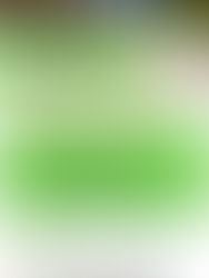 Step Into Wellness 2 – Walk 'n' Talk Sessions