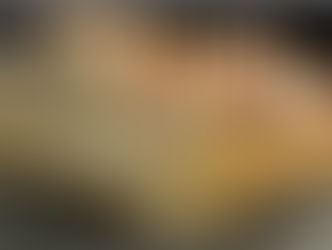 EL LIBRO DE LAS SOMBRAS: EL MANUAL DE MAGIA WICCA