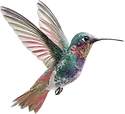 articles_bird_edited.png