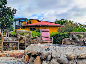 Garden Oasis 1