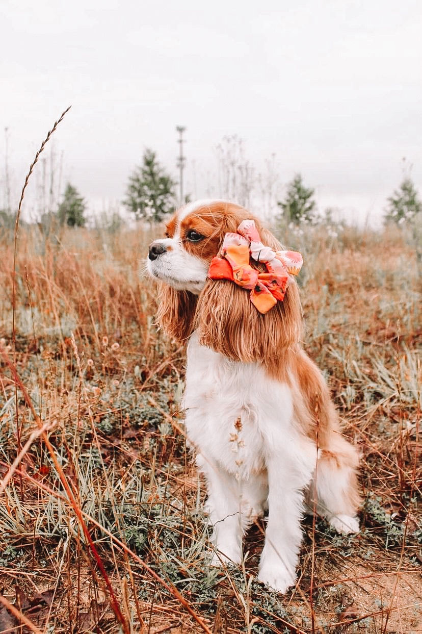 Thumbnail: Flower Girl Hair Bow