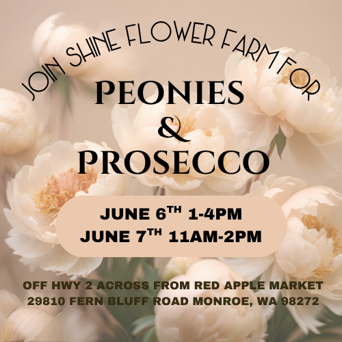 Peonies & Prosecco