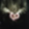 unnamed-9.jpg