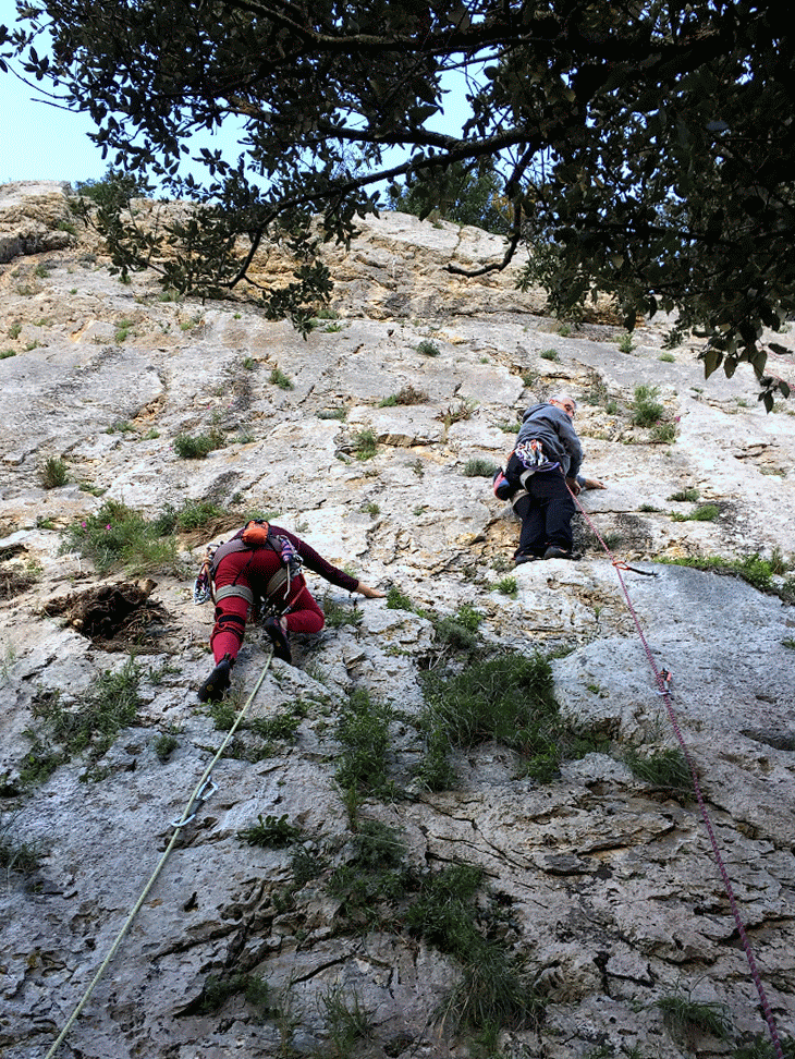 IMG_6386-ANIMATION.gif