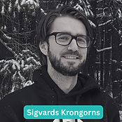 Sigvards_Krongorns.png