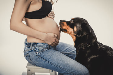 Babybauchfoto Babybauch Schwangerschaft