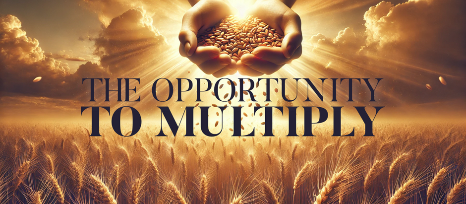 The Opportunity to Multiply