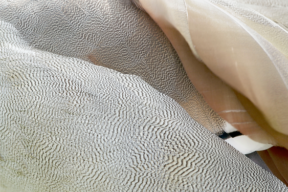 Screenshot 2025-05-25 at 6.03.39 PM.png