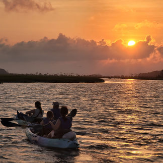 A guided kayaking tour navigating through Cherry Grove's salt marshes