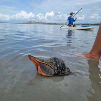 Breathtaking views of Cherry Grove from a kayak
