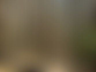 Hutan Pinus Mangunan: Wisata Alam Sejuk yang Menenangkan di Yogyakarta
