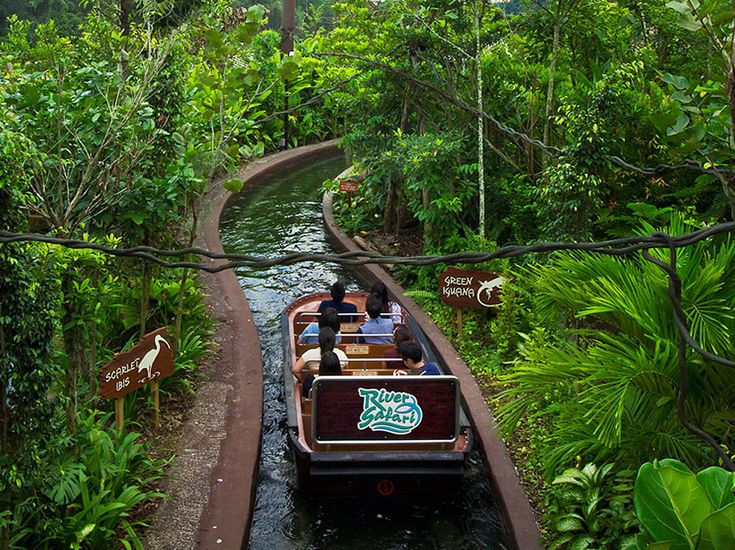 River Wonders: Menjelajahi Dunia Satwa Air Tawar di Singapore