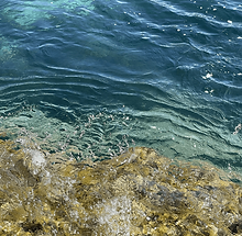 Design ohne Titel (22) (1).png