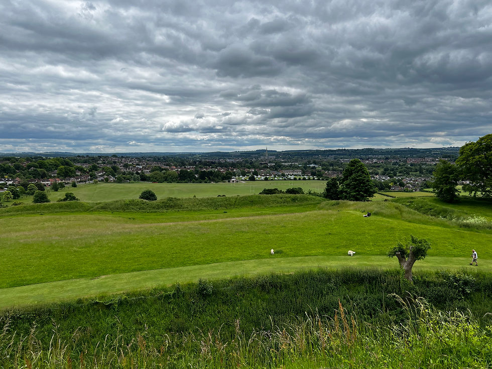 The view from Old Sarum.