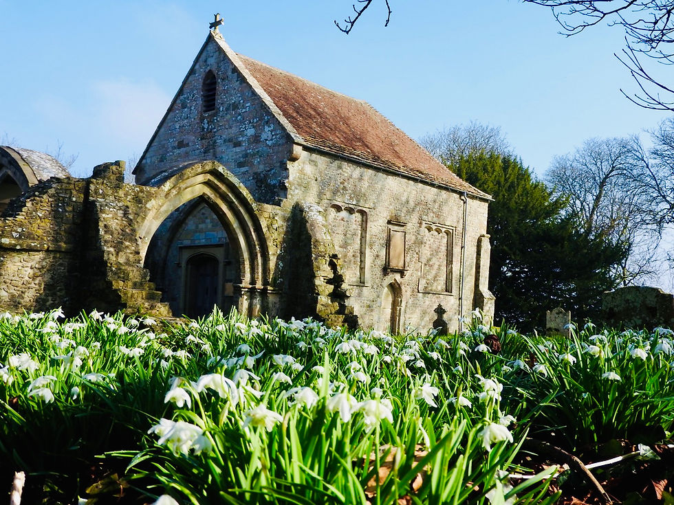 The beautiful old church of St Leonard's in the Wiltshire village of Sutton Veny (just a couple of miles from where I am sat writing this) always has a fantastic display of Snowdrops.