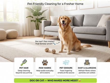 Pet-safe carpet cleaning in Innisfil Ontario home