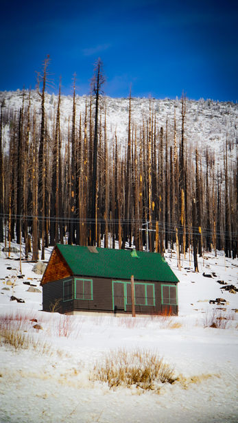 Cabin with green roof in snowy field, trees in the background.