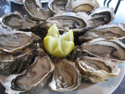 Oysters in Noirmoutier
