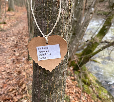Petit panneau en forme de cœur accroché à un arbre dans la forêt avec la citation : Ne laisse personne éteindre ta lumière."