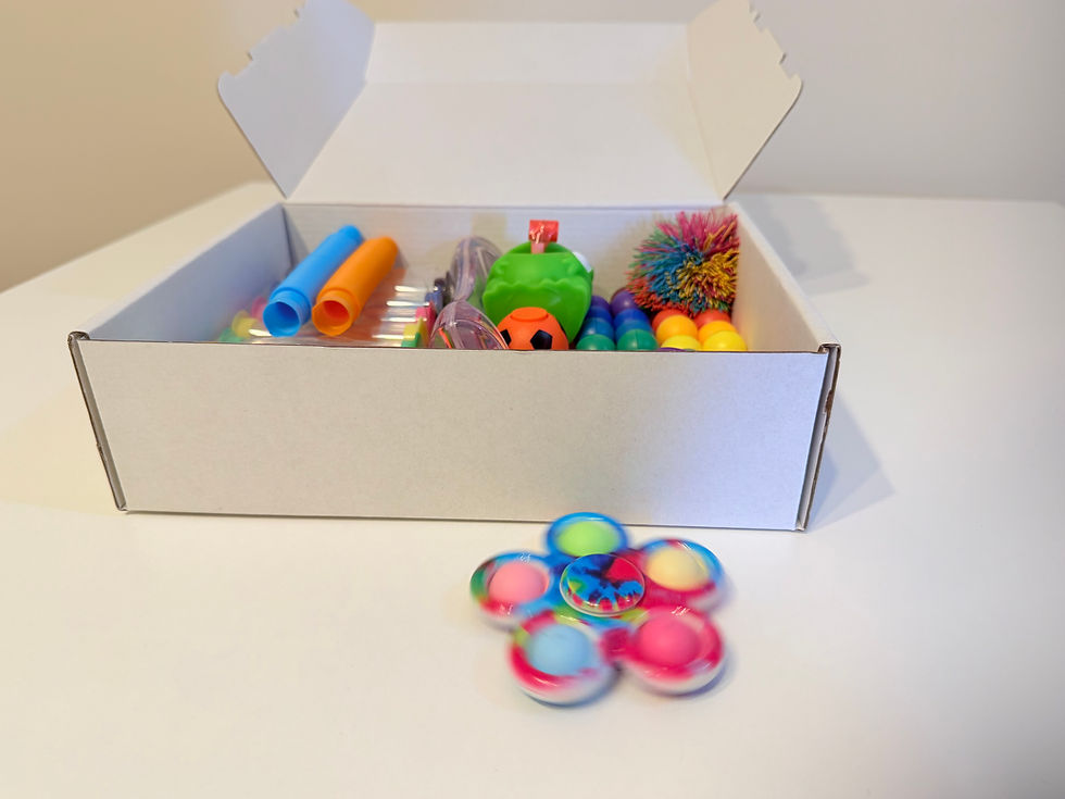 Thumbnail: The BIG Sensory Box