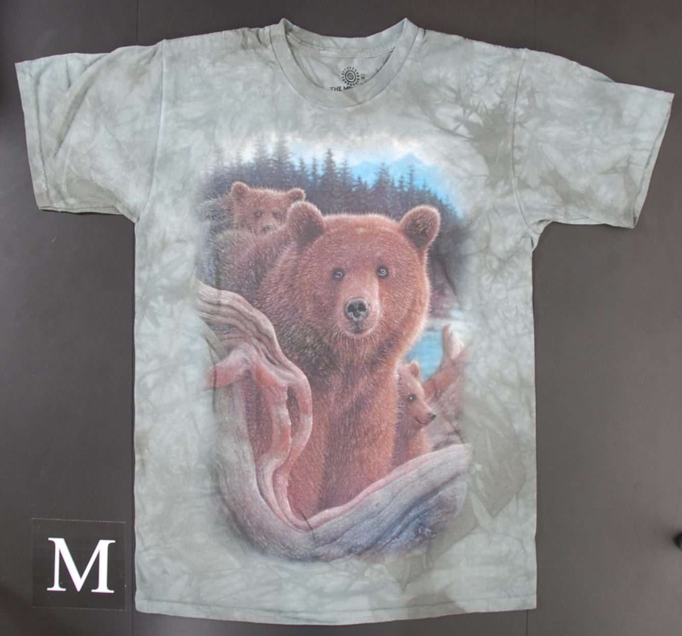 Bärenfamilie T-Shirt – Helles Wildlife Motiv