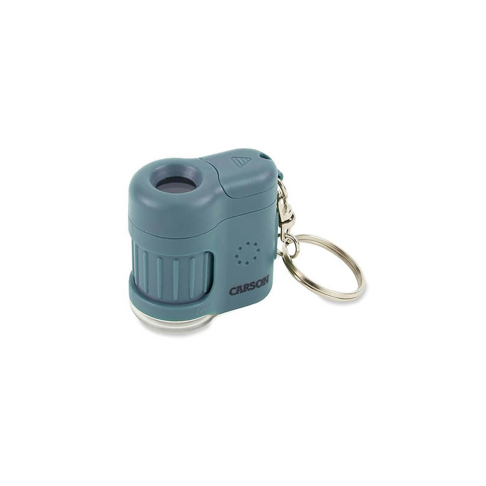 MicroMini Taschenmikroskop LED + UV 20-fach blau