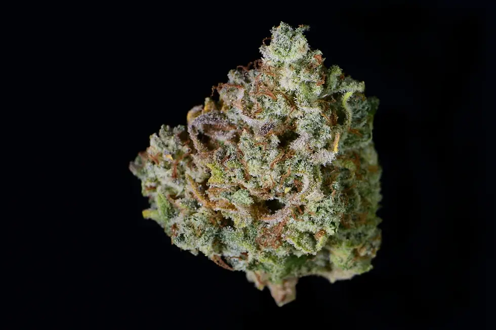 Miniaturbild: Gelato Auto