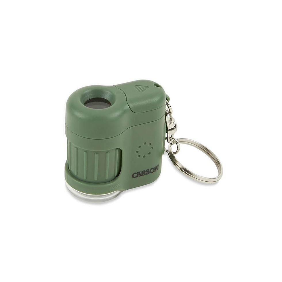 MicroMini Taschenmikroskop LED + UV 20-fach grün