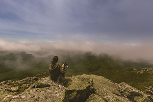 Get counselling at www.wisdomspace.com.au