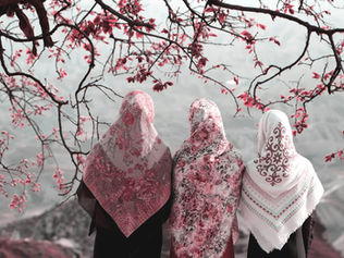 이란의 비밀 병기