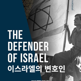 이스라엘의 변호인