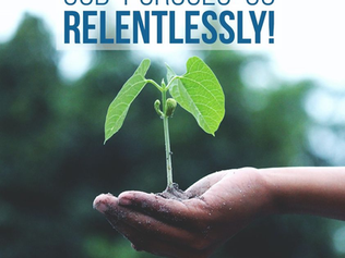 네게 장가 들리니