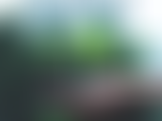 네게 장가 들리니