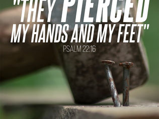 내 수족을 찔렀나이다