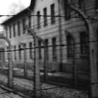 위톨드 필레츠키, 아우슈비츠의 공포를 자발적으로 겪은 사람