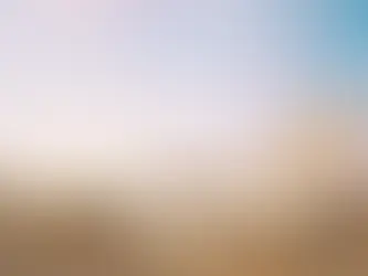 나팔절