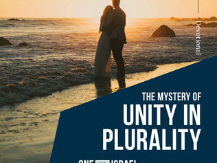 복수의 신비한 단수성