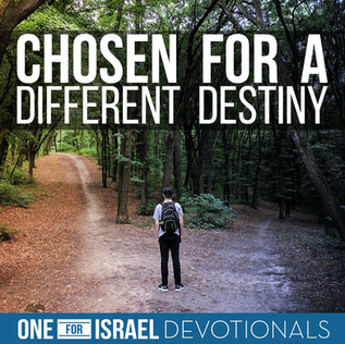 선택에 후회가 없으신 예수님